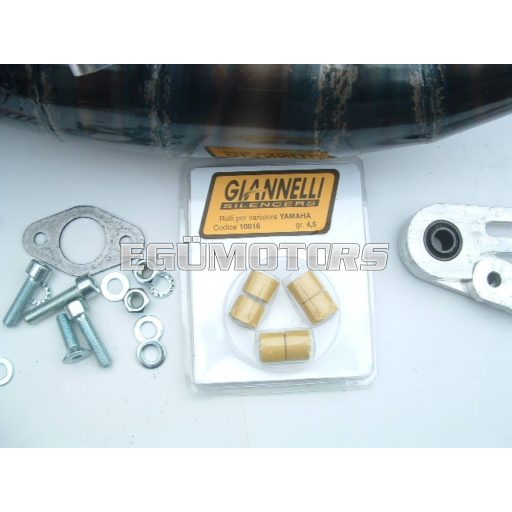 Giannelli Reverse kipufogó, Aerox