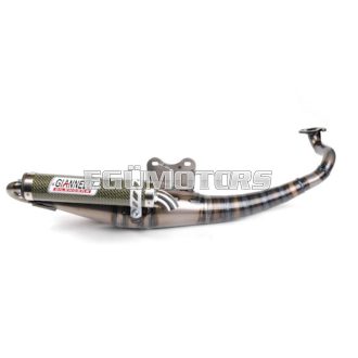 Giannelli Reverse kipufogó, Aprilia