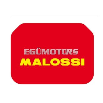 Malossi Red Filter, AN400