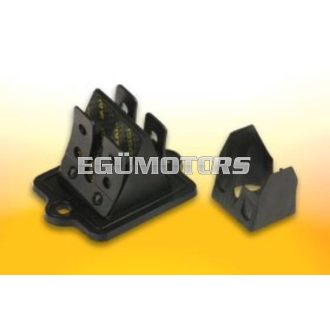 Malossi Membránház, Piaggio/Gilera