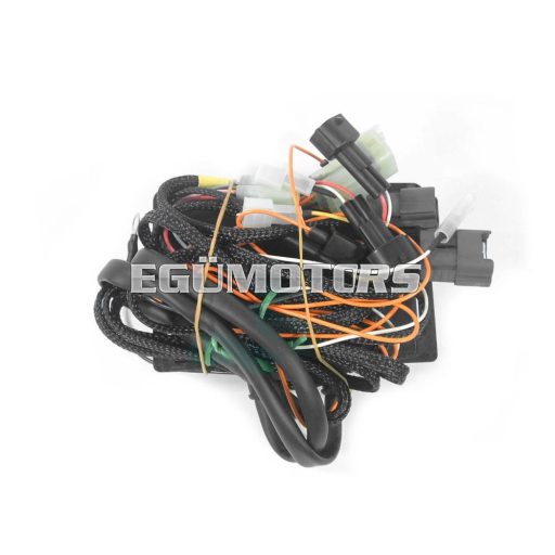 Malossi vezérlőelektronika, Force Master 3