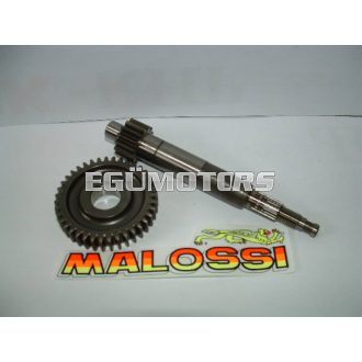 Malossi Végáttétel, Primer 14/39, Piaggio új hosszú