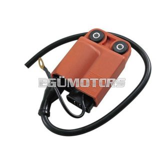 Motoforce Racing CDI, Piaggio/Gilera