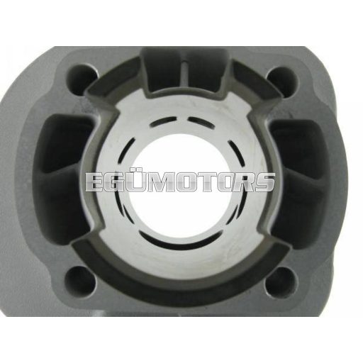 Motoforce Racing Alu henger, 50ccm, fekvő Minarelli AC