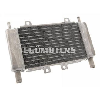 Motoforce Racing Hűtő, Gilera Runner