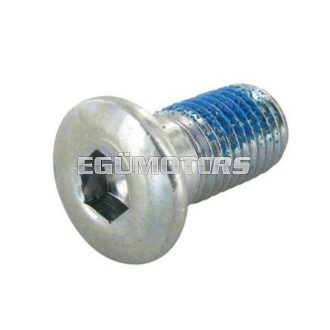 Motoforce féktárcsa csavar, M10 x 15mm