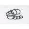 Malossi O-RING KIT for OVERHAUL F32S FORK