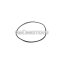 Malossi O-RING 94,9x98,53x1,78 mm