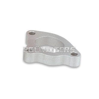 Intake manifold adaptor