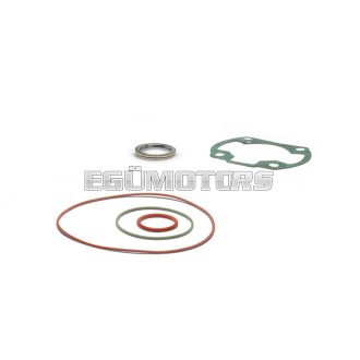   Malossi COMPL. CYL.KIT GASKET SET 40 modul-head (O-RING) (MINARELLI)