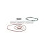 Malossi COMPL. CYL.KIT GASKET SET 40 modul-head (O-RING) (MINARELLI)