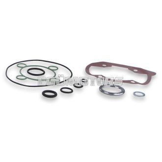 Malossi COMPL. CYL.KIT GASKET SET 47 PEUGEOT JET FORCE TSDI