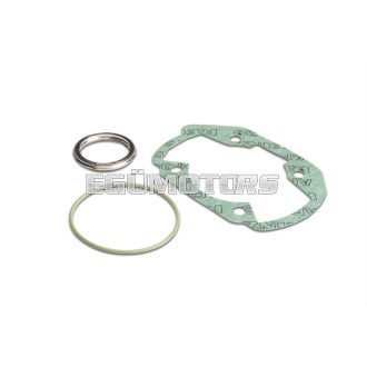 Malossi COMPL. CYL.KIT GASKET SET 40-47 PEUGEOT LUDIX