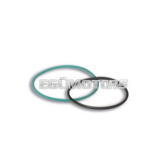 Malossi EXHAUST CONNECTION GASKET SET