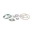 Malossi COMPL. CYL.KIT GASKET SET 47 H2O