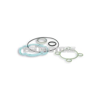 Malossi COMPL. CYL.KIT GASKET SET 40-47 H2O