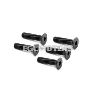 Malossi 5 SCREWS TSCE M 6x25 (UNI 5933)