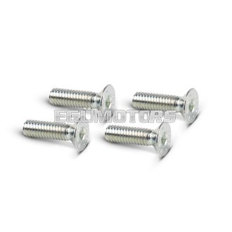 4 TSCE M 4x14 screws