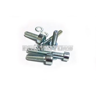 Malossi COMPL. BOLTS for ELECTRONIC IGNITION INT.ROTOR