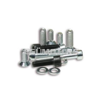 Malossi COMPL. BOLT for INNER ROTOR IGNITION PIAGGIO H2O