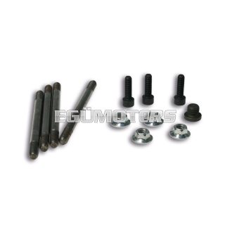 Malossi STUDS/NUT KIT for MODUL. CYL-HEAD 40,3
