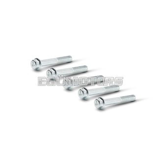   TEF 6X40 5 screws kit for Malossi and Piaggio scooter 50 cc gears crankcase