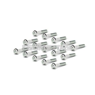   TEF 6X35 15 screws kit for Piaggio scooter 50 cc transmission crankcase