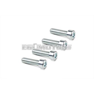 Malossi 4 SCREWS TCCE M 8x30