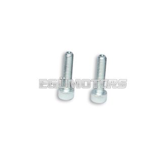 Malossi 2 SCREWS TCCE M 6x25