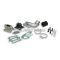 Malossi REED INT.MANIF. KIT (cyl.) PHBL 25 1st series VESPA ETS-PK/PK XL 125