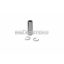 Malossi PISTON PIN 12x08x40