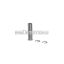 Malossi PISTON PIN 10x05x38 (C - P.CLIP) for PISTON