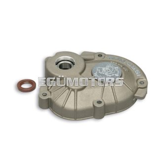 Malossi ROLLER CRANKCASE MHR PIAGGIO