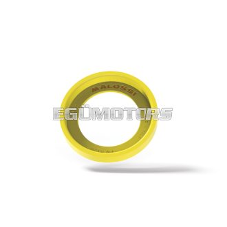 TORSION CONTROLLER variator spring guide