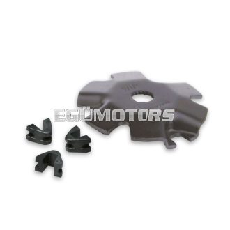 Fixed cover for MULTIVAR variator