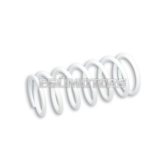   Malossi SPRING for Malossi FRONT SHOCK ABSORBER ext.56x120mm thread 5,5mm k 1,6