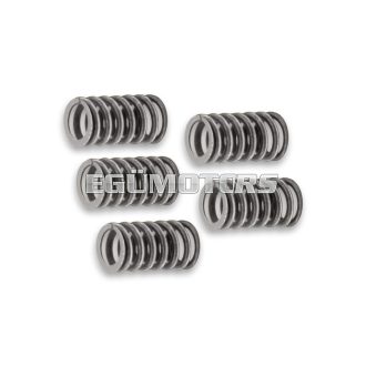 Malossi REINFORCED SPRING SET for CLUTCH