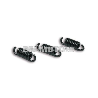 Malossi 3 SPRINGS for MAXI DELTA CLUTCH MHR