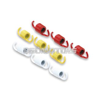 Malossi RACING SPRING SET for ORIG.CLUTCH MAXI SCOOTER