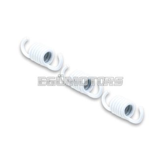 Malossi 3 WHITE SPRINGS 2,2 for CLUTCH