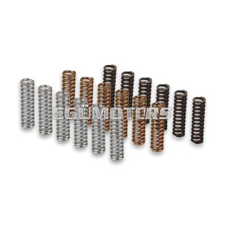 Malossi RACING SPRING SET for ORIGINAL CLUTCH Y. T MAX 500