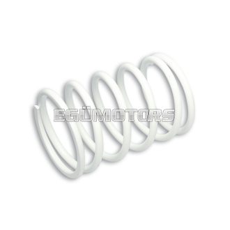   Malossi WHITE VARIATOR ADJUSTER SPRING ext.80,4x115mm thread 6,5mm 11,2k