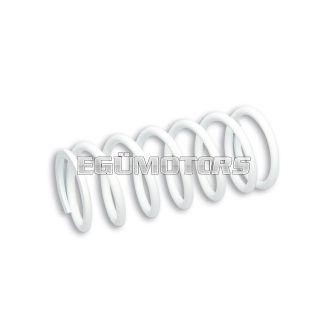   Malossi SPRING for Malossi FRONT SHOCK ABSORBER ext.57,7x132mm thread 5,7mm k 1,4