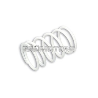   Malossi WHITE VARIATOR ADJUSTER SPRING ext.60x95mm thread 5mm 10k