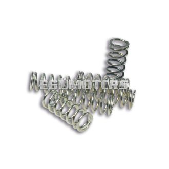   Malossi 6 CLUTCH SPRINGS P. APE FL/ VESPA PK FL/ PK HP FL 50- PK FL 125