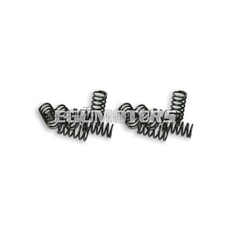   Malossi 12 CLUTCH SPRINGS P. APE FL/ VESPA PK FL/ PK HP FL 50- PK FL 125
