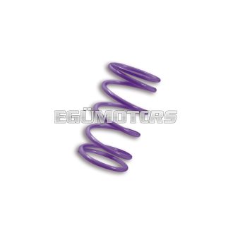   Malossi VIOLET VARIATOR ADJUSTER SPRING ext.70.75x105mm thread 6.5 mm 20k