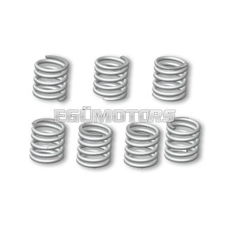   Malossi CLUTCH SPRINGS for VESPA PX 125 - 150 2T euro 0-1 - PX E 200