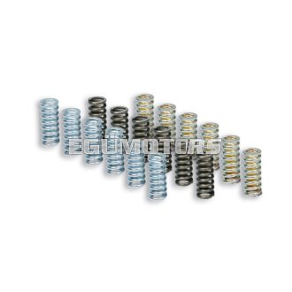 Malossi RACING SPRING SET for ORIGINAL CLUTCH