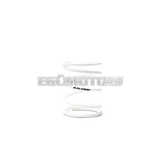   Malossi WHITE VARIATOR ADJUSTER SPRING ext.78,8x96mm thread 6,3mm 14k